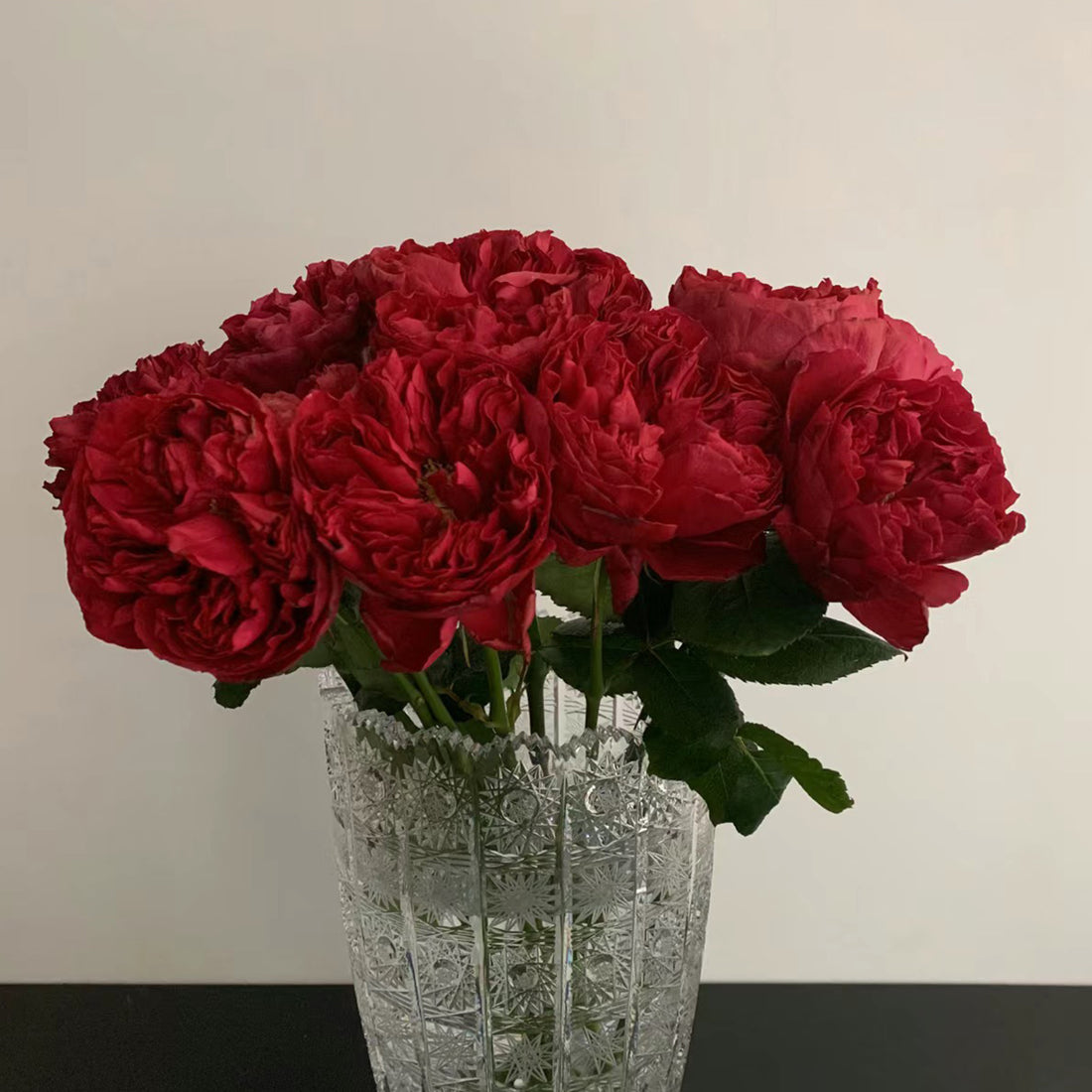 Raspberry Elegance Dutch Florist Shrub Rose