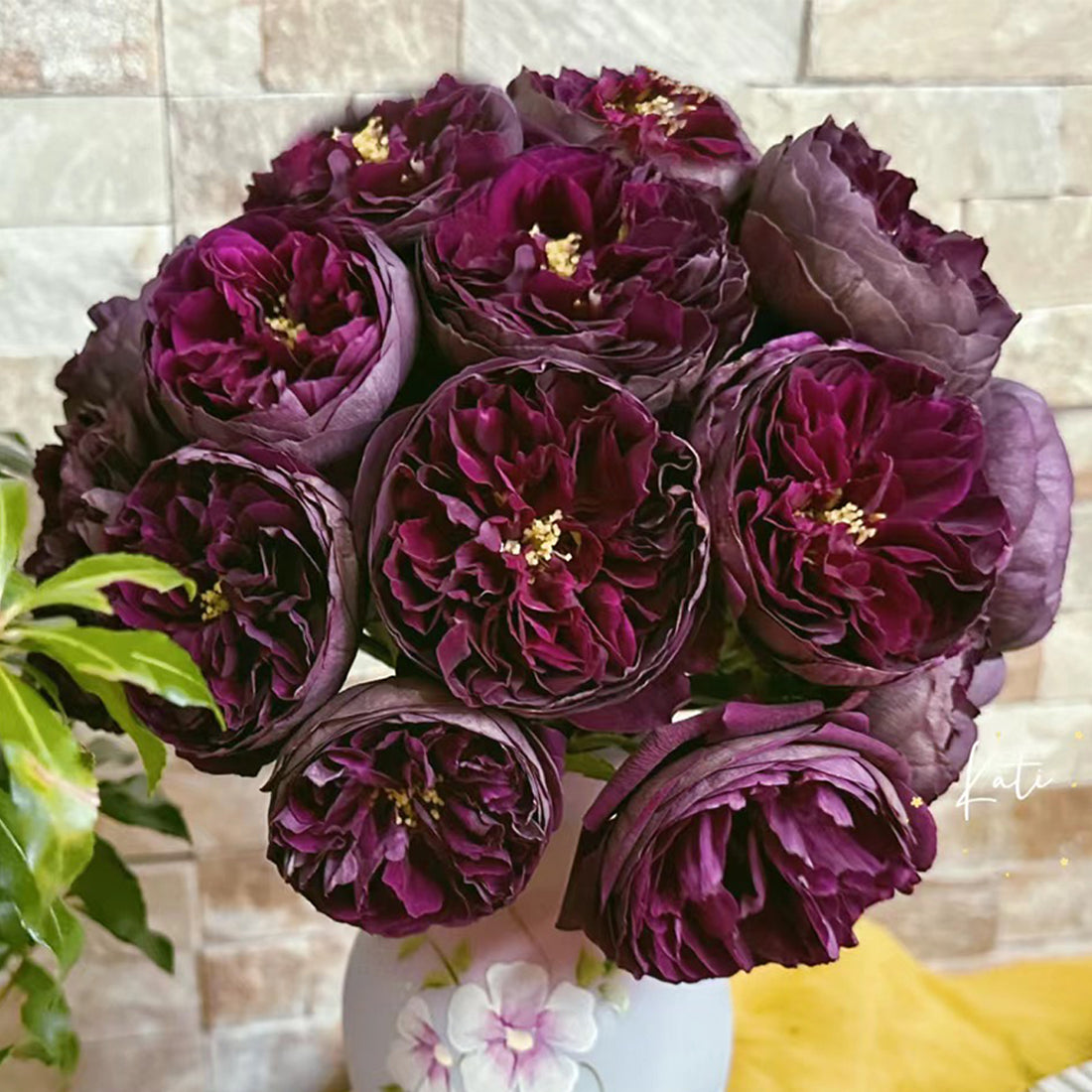 Royale Japanese Florist Shrub Rose