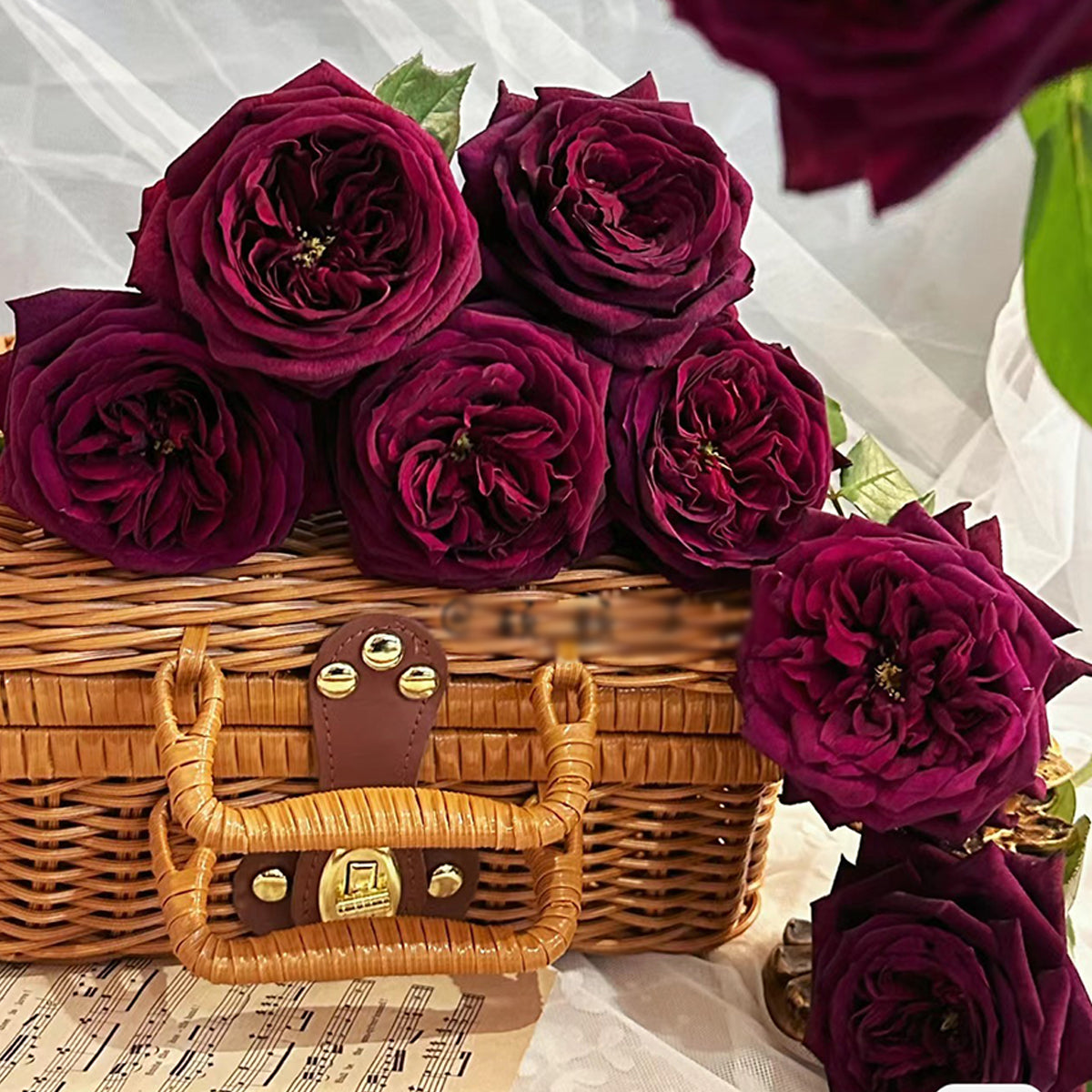Royale Japanese Florist Shrub Rose