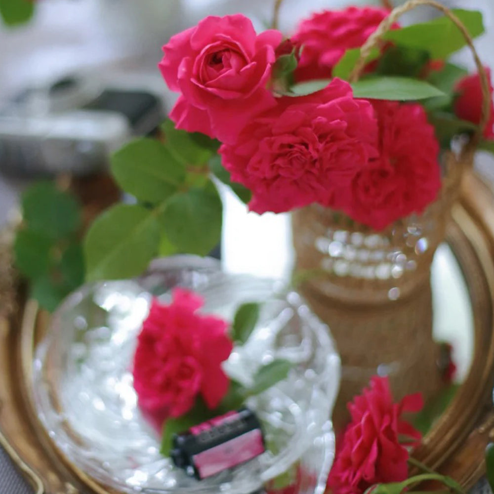 Ruban Rouge French Florist Shrub Rose