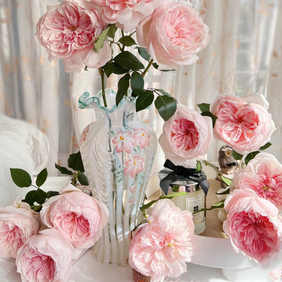 Sabrina French Garden Shrub Rose