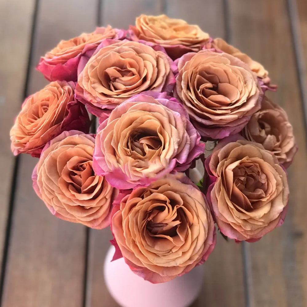 Single Malt Dutch Florist Hybrid Tea Rose