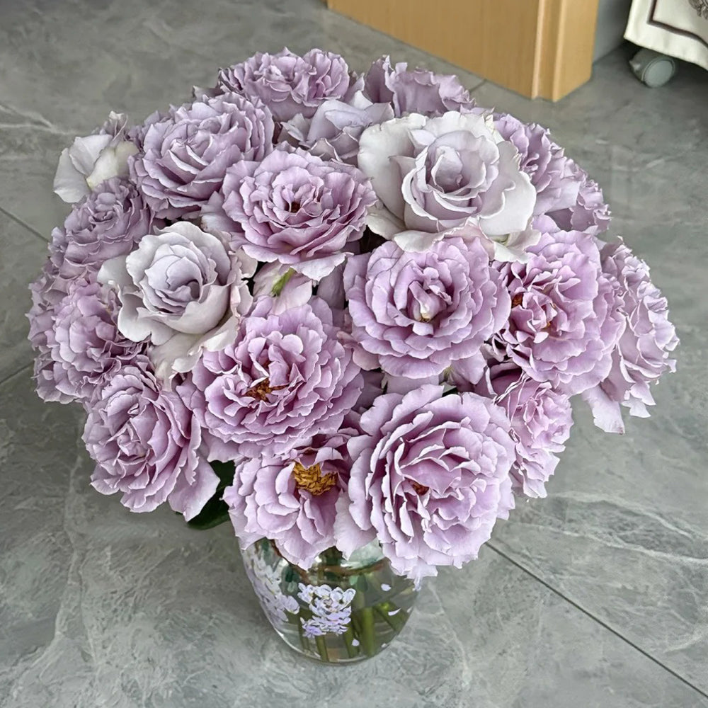 Sou Japanese Florist Shrub Rose