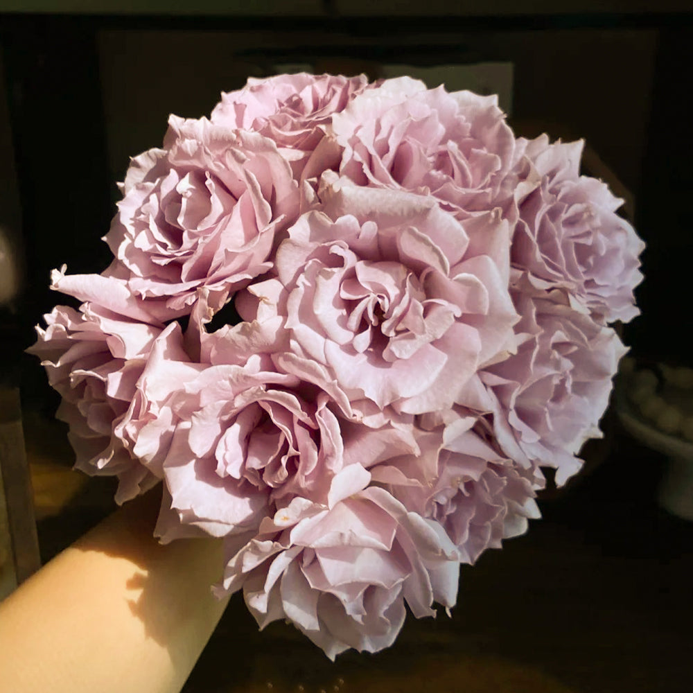 Sou Japanese Florist Shrub Rose