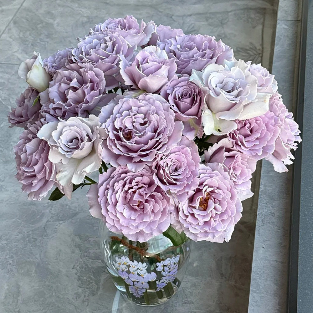 Sou Japanese Florist Shrub Rose