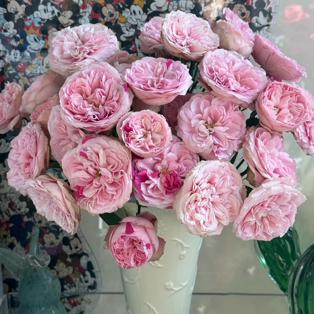 Dutch Florist Shrub Rose Inspired by Speckled Opal Gem