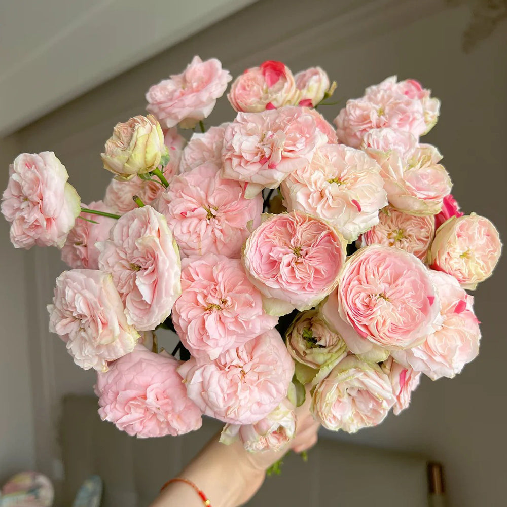 Dutch Florist Shrub Rose Inspired by Speckled Opal Gem