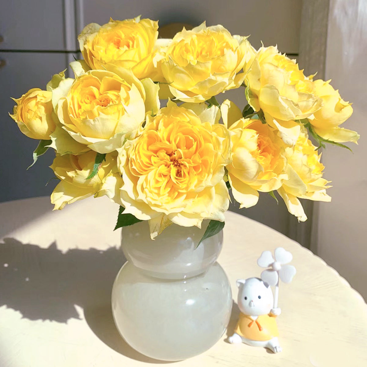 Sunny Antike German Florist Shrub Rose