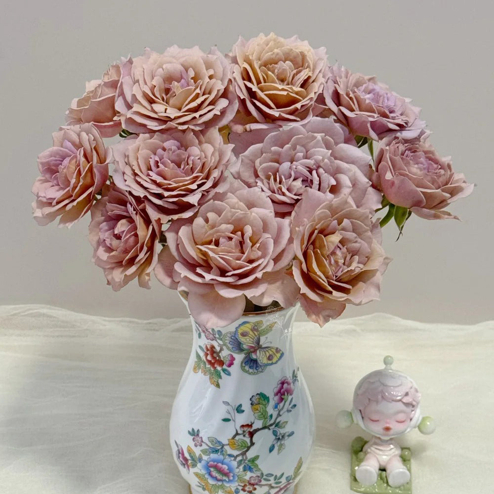 Suo Qingqiu Chinese Florist Shrub Rose – Highgarden Roses