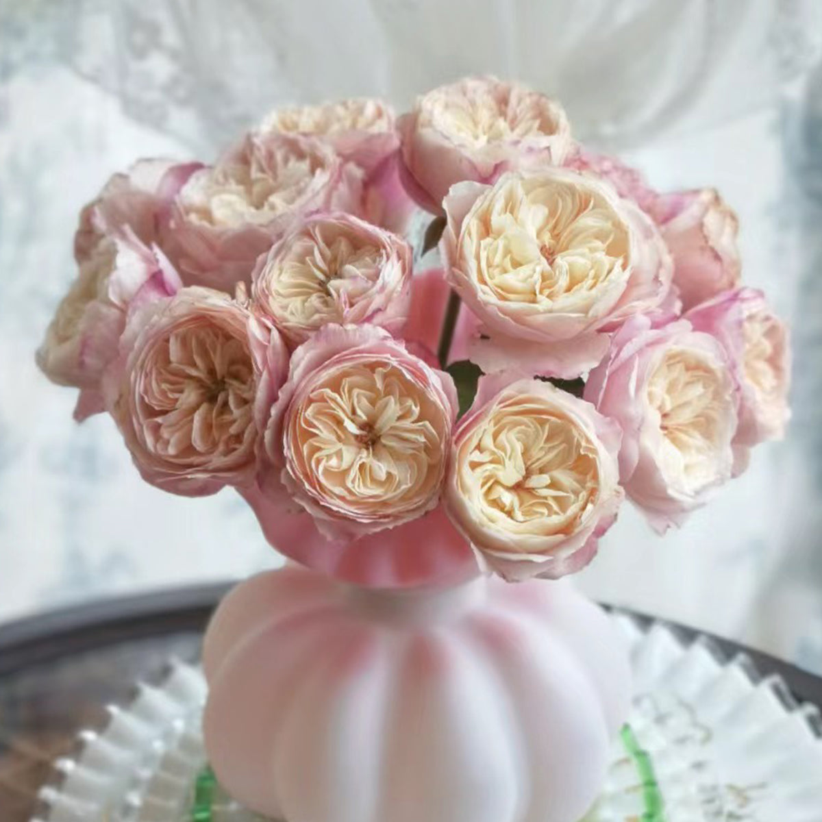 Tamaki Misora Japanese Florist Shrub Rose