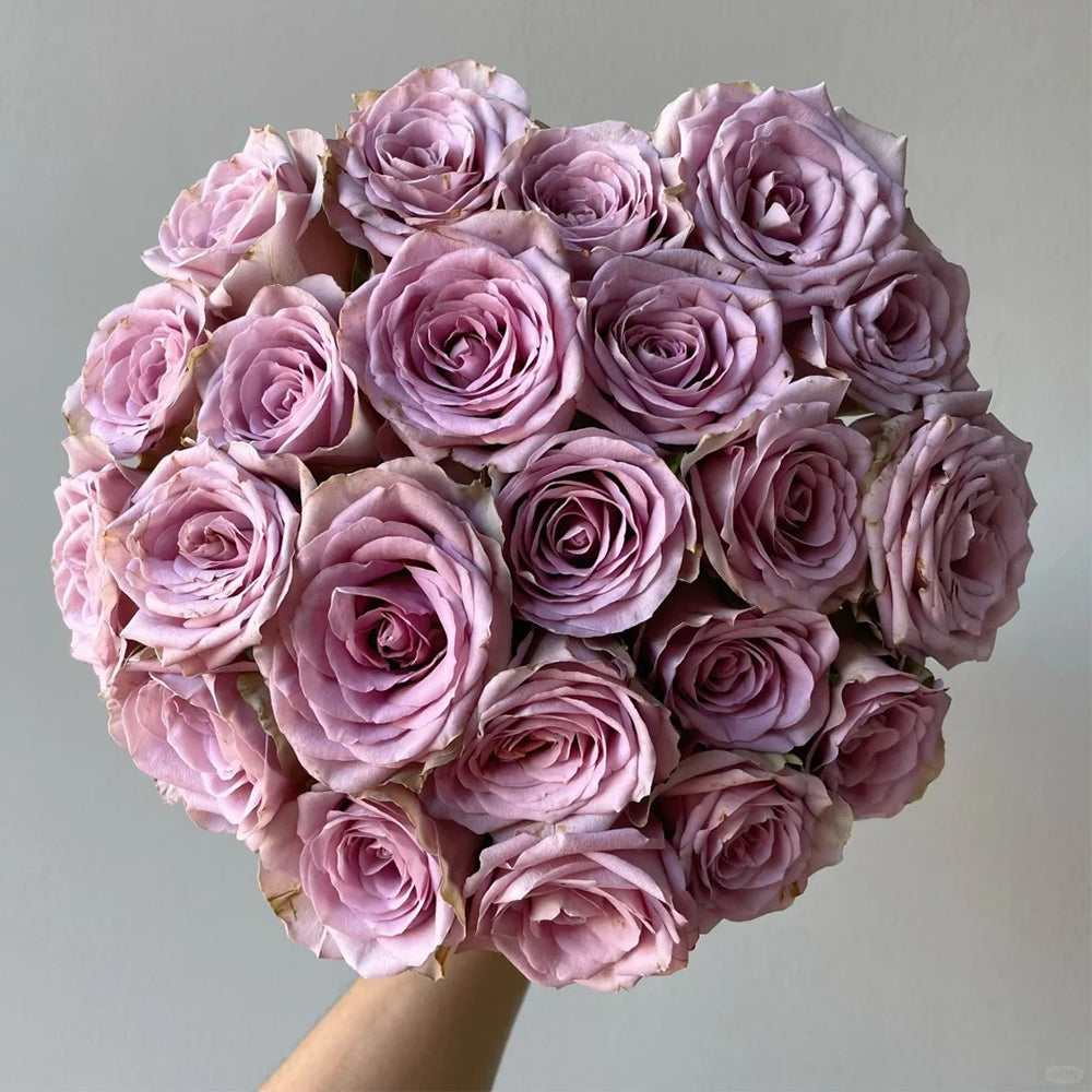買い誠実 Netherlands Florist Shrub Rose Inspired by Tiara プリザーブドフラワーアレンジメント