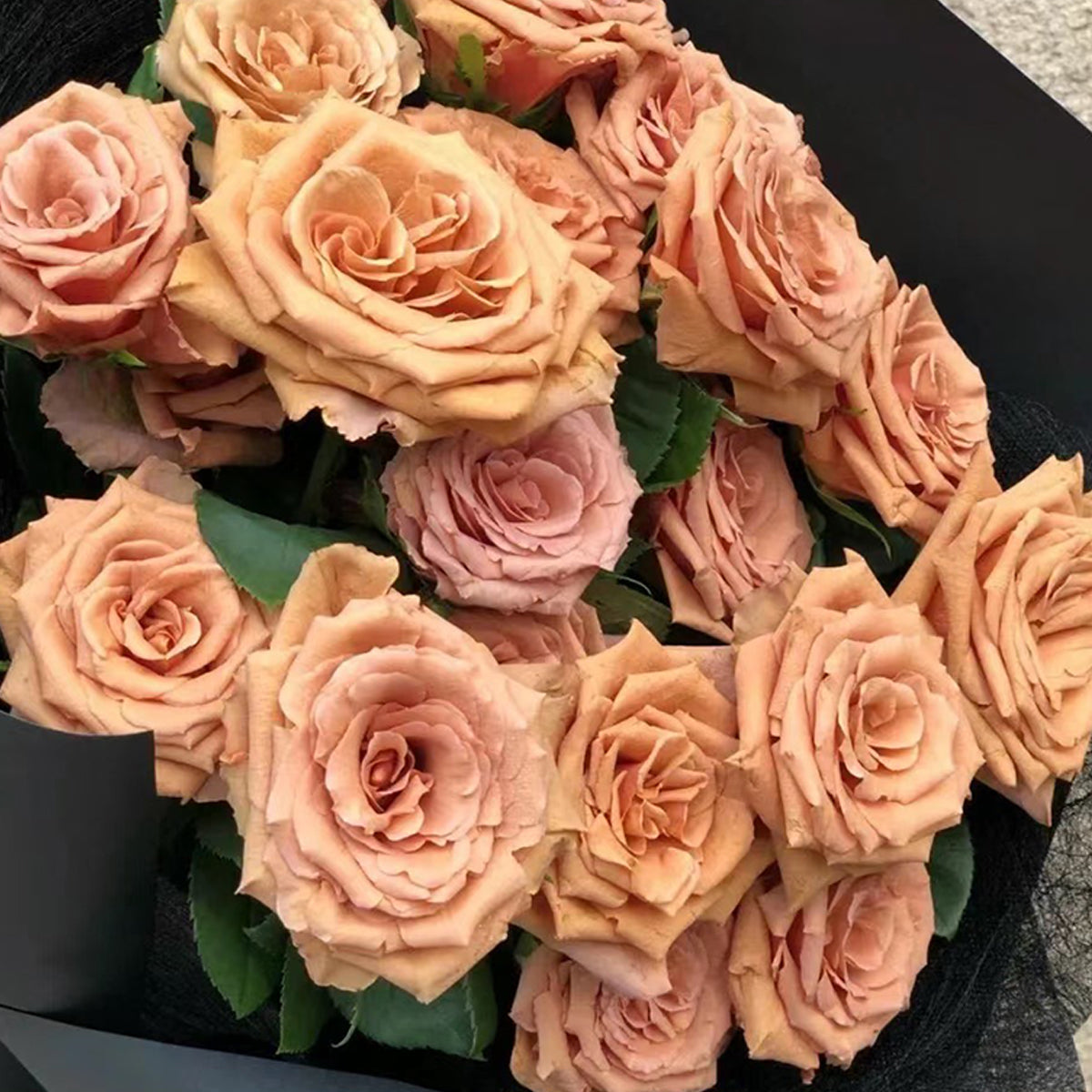 Toffee Ecuador Florist Shrub Rose