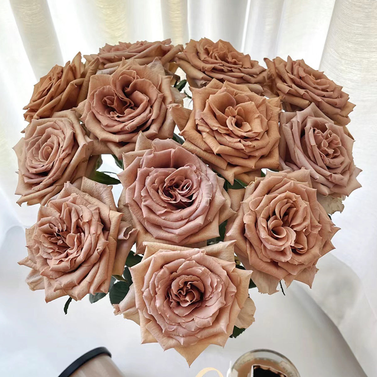 Toffee Ecuador Florist Shrub Rose