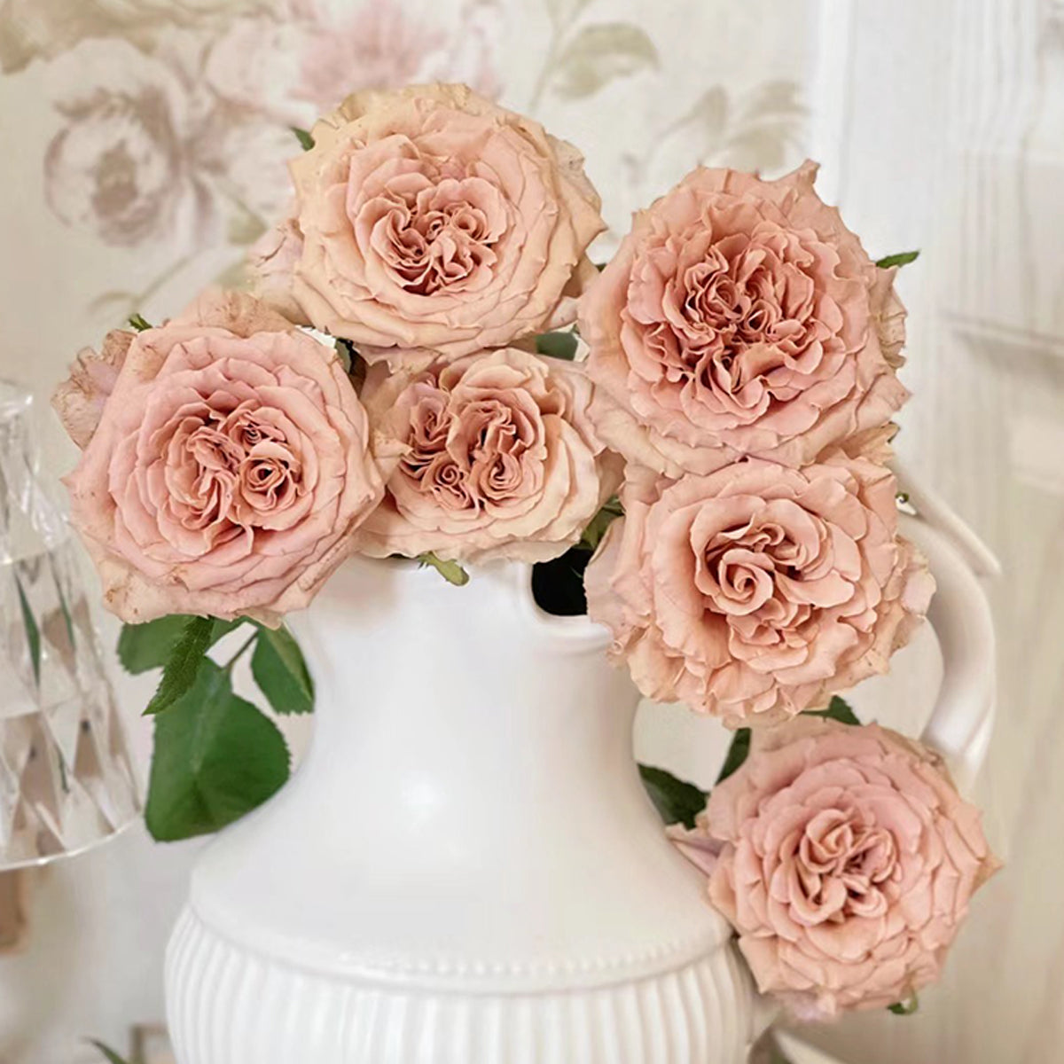 Toffee Ecuador Florist Shrub Rose