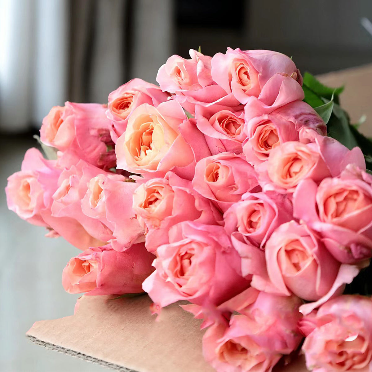 Victorian Secret Dutch Florist Shrub Rose