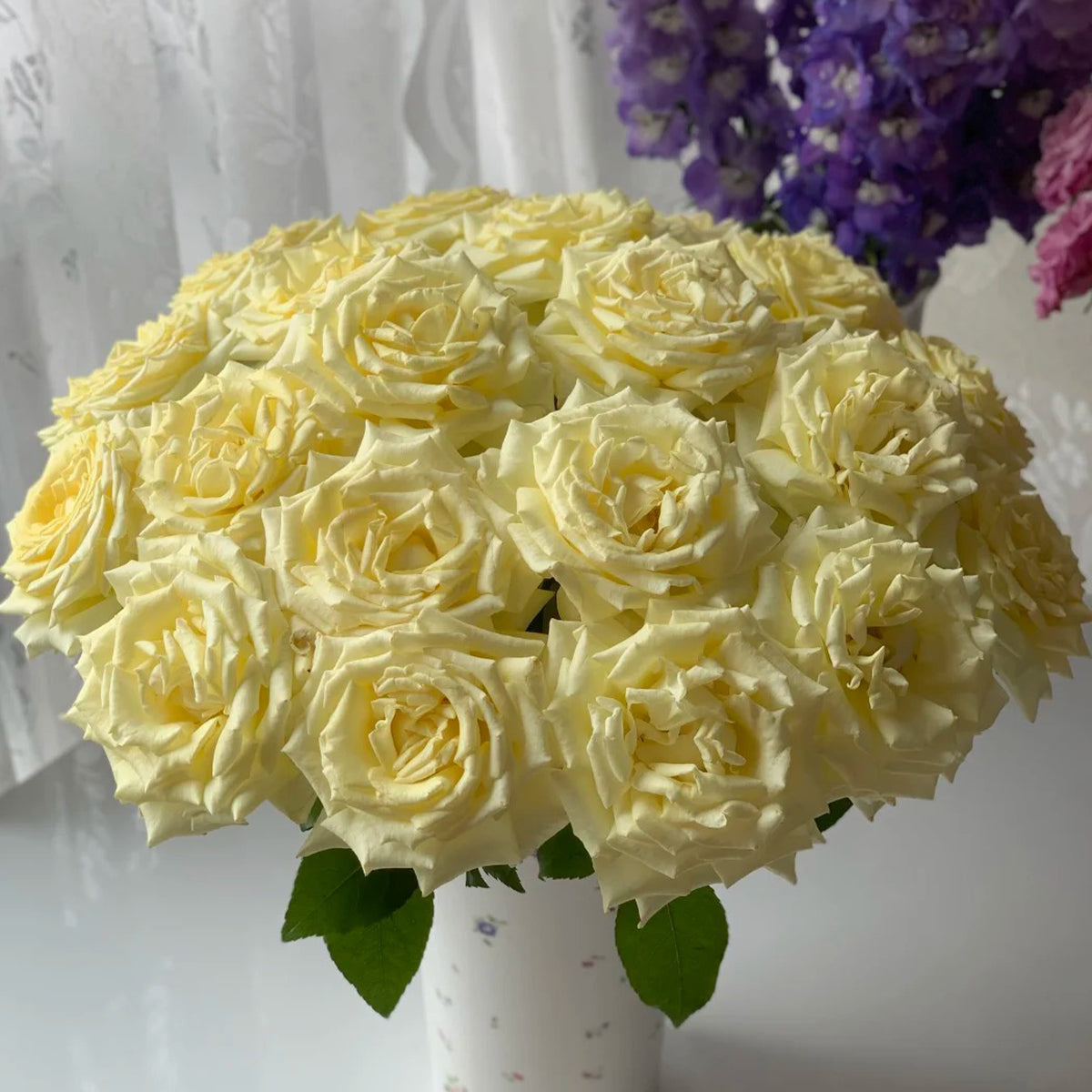 Vitality Dutch Florist Shrub Rose