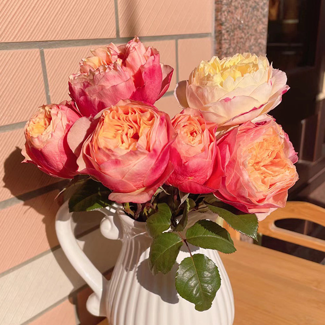 Vuvuzela Dutch Florist Shrub Rose