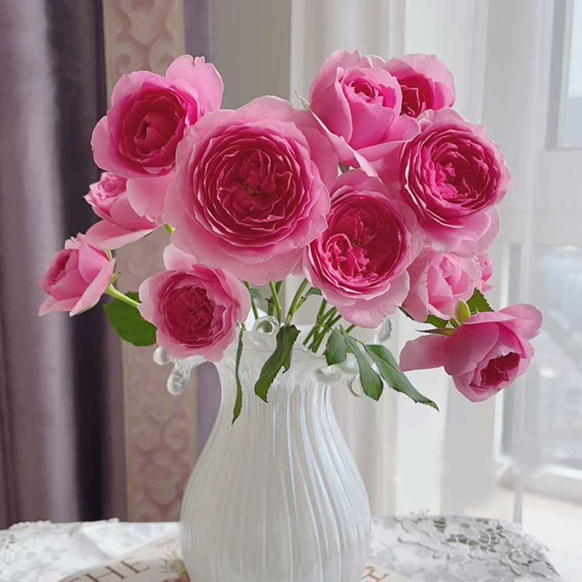 Wanshan Chinese Garden Shrub Rose