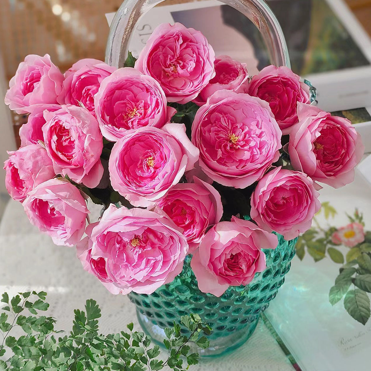 Wanshan Chinese Garden Shrub Rose