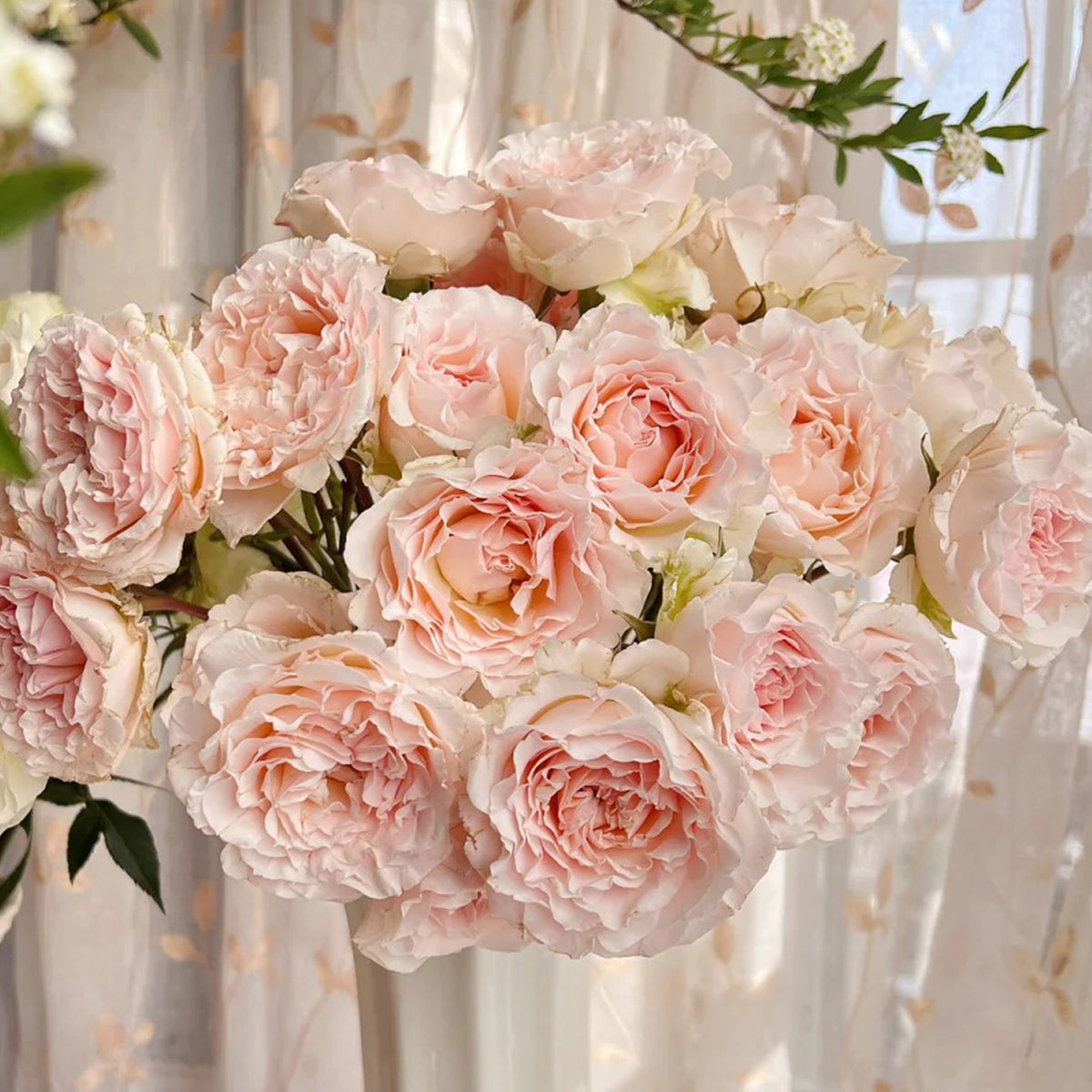 French Florist Shrub Rose Inspired by Wedding Rosever