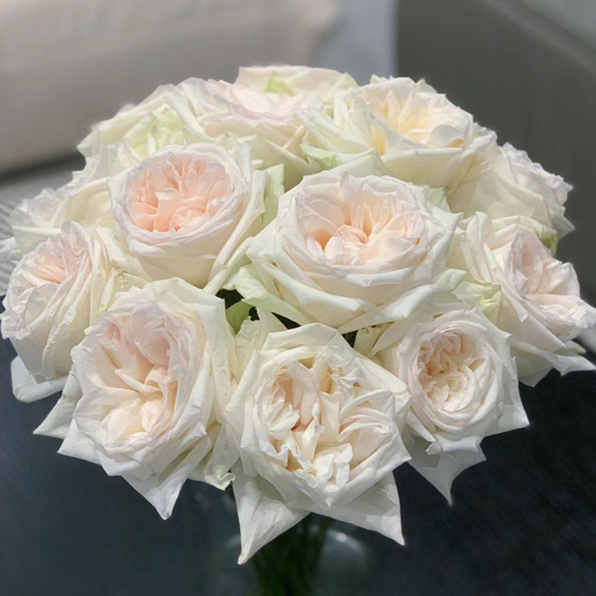 French Florist Shrub Rose Inspired by White O&