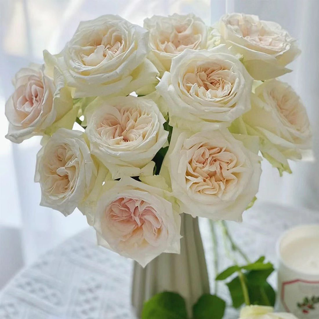 French Florist Shrub Rose Inspired by White O&