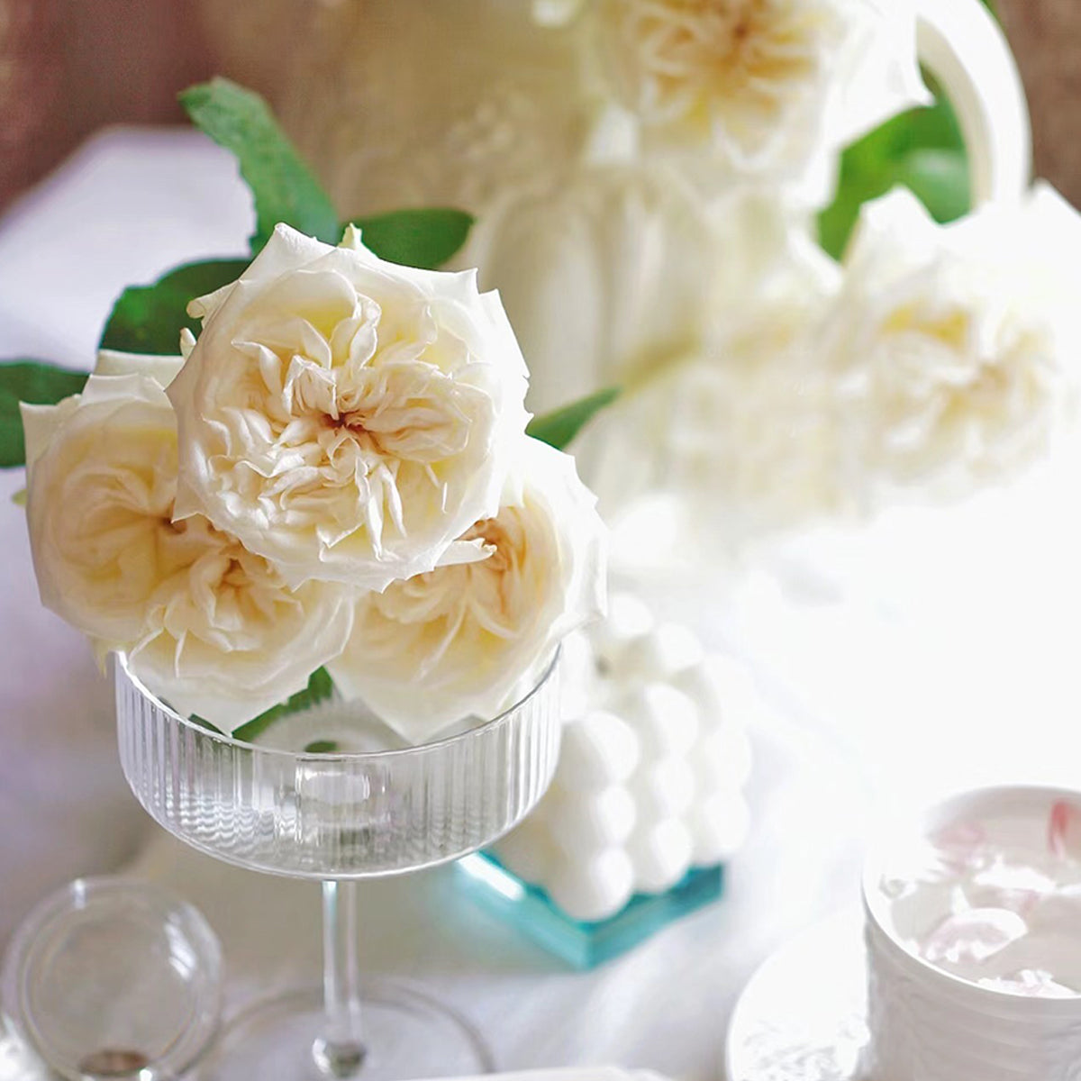 French Florist Shrub Rose Inspired by White O&