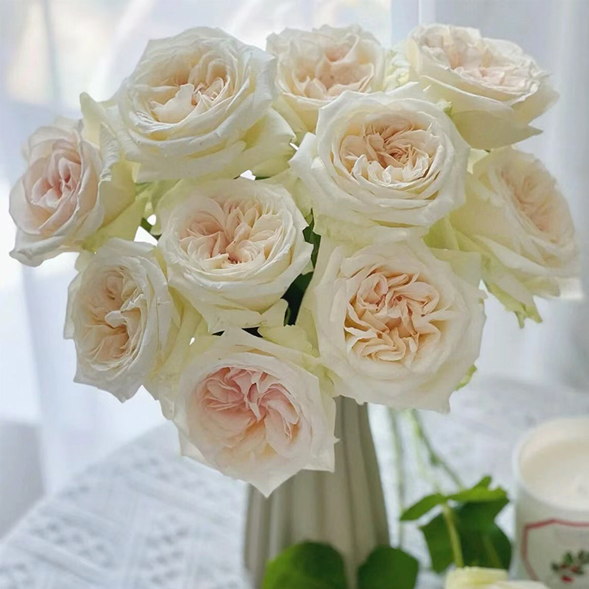 French Florist Shrub Rose Inspired by White O&