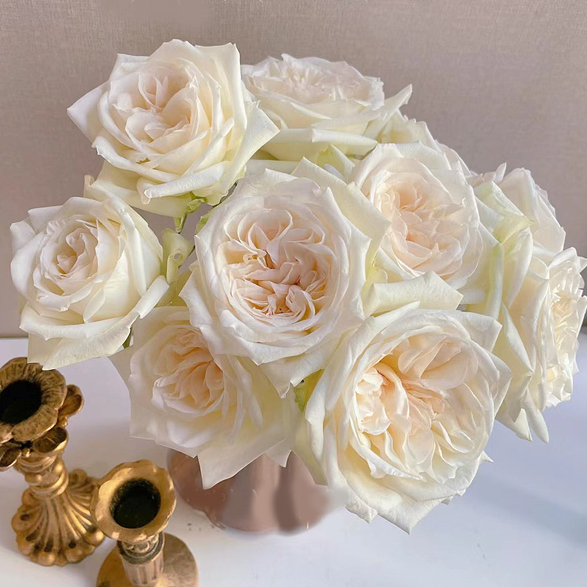 French Florist Shrub Rose Inspired by White O&