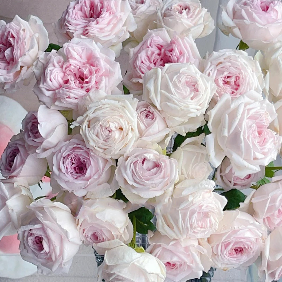 Yves M-Wedding Box Japanese Florist Shrub Rose