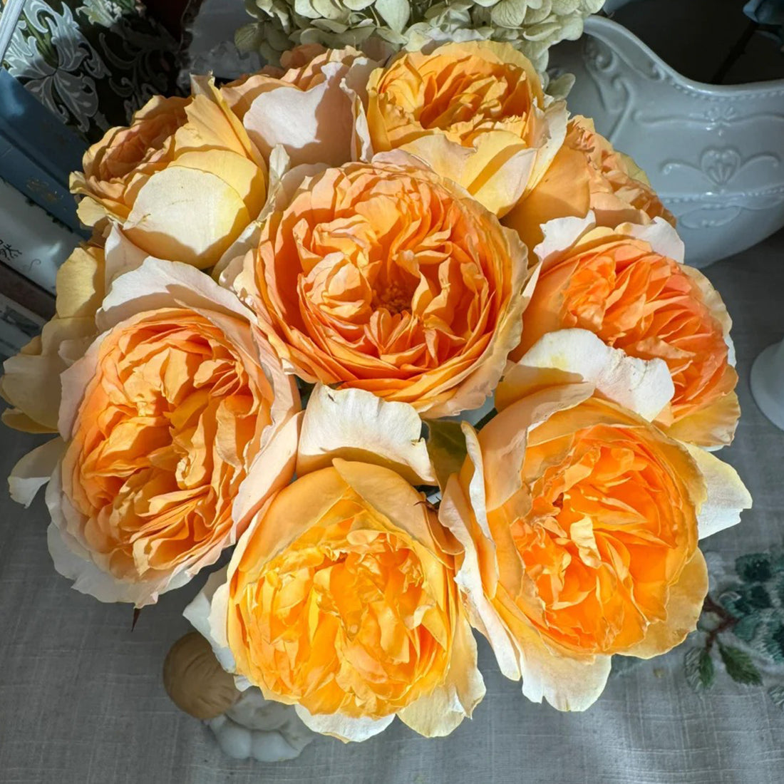 Miku Orange Japanese Florist Shrub Rose