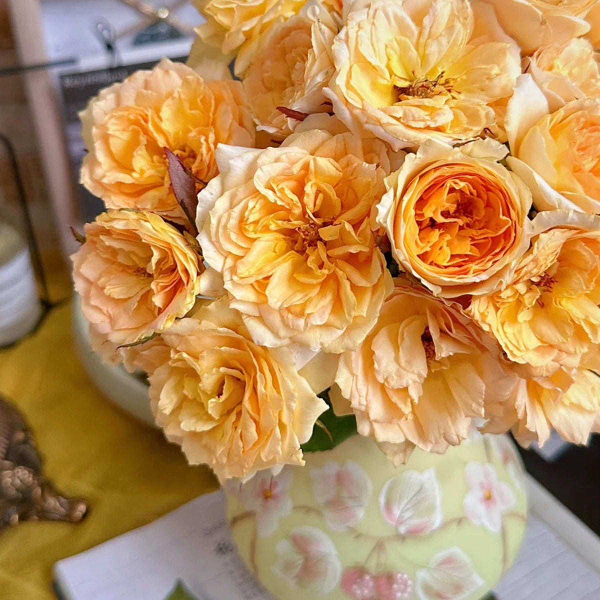 Miku Orange Japanese Florist Shrub Rose