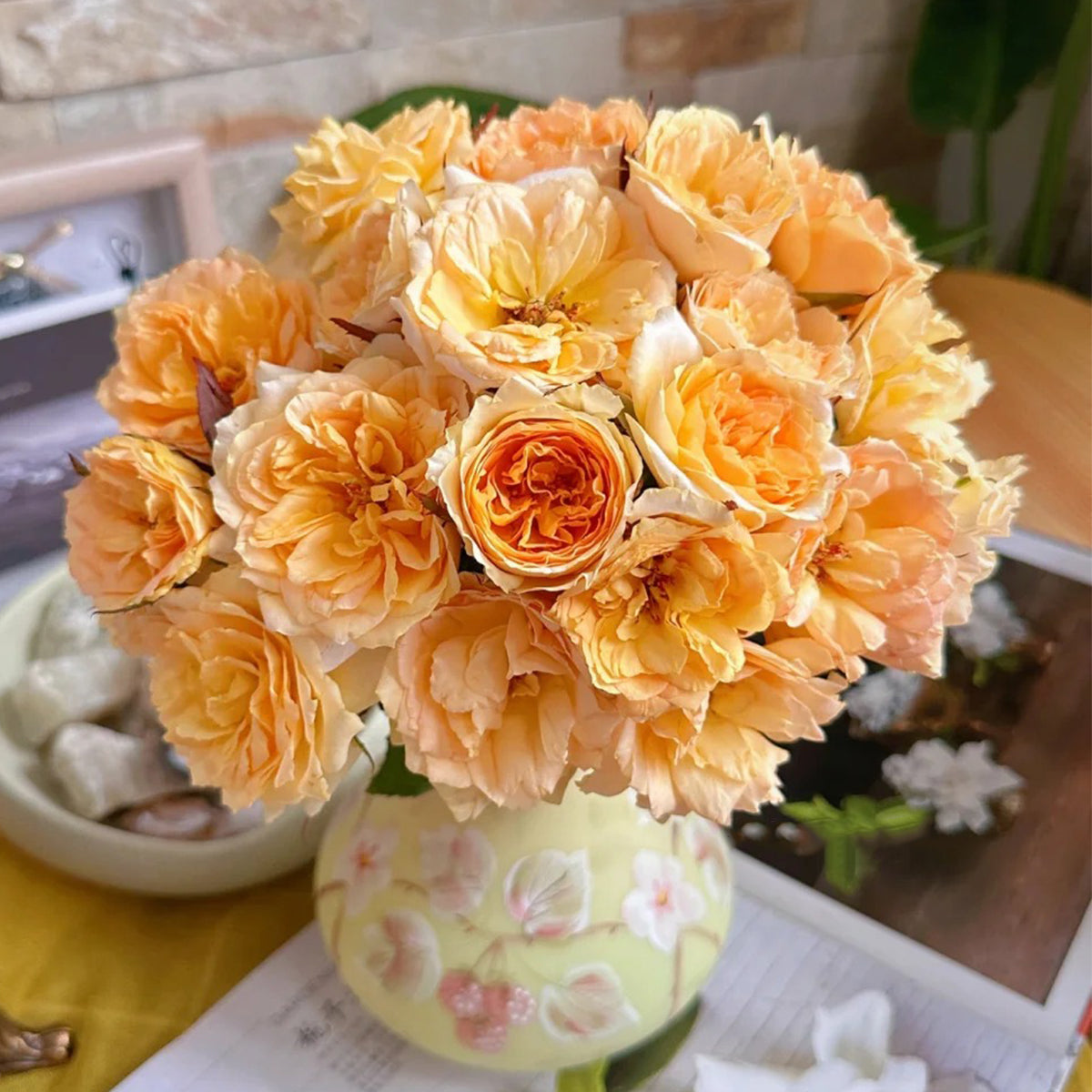Miku Orange Japanese Florist Shrub Rose