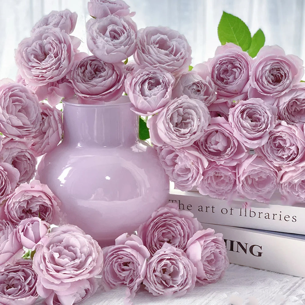 Roselyne Japanese Florist Shrub Rose