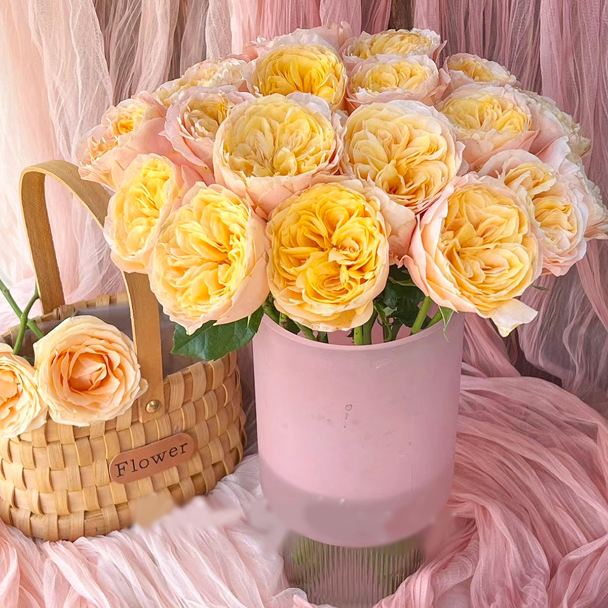 Imagine Dutch Florist Shrub Rose