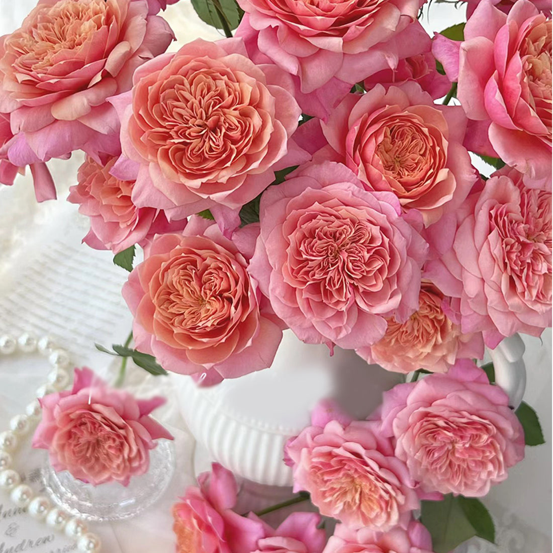 Japanese Florist Shrub Rose Inspired by Miyabi