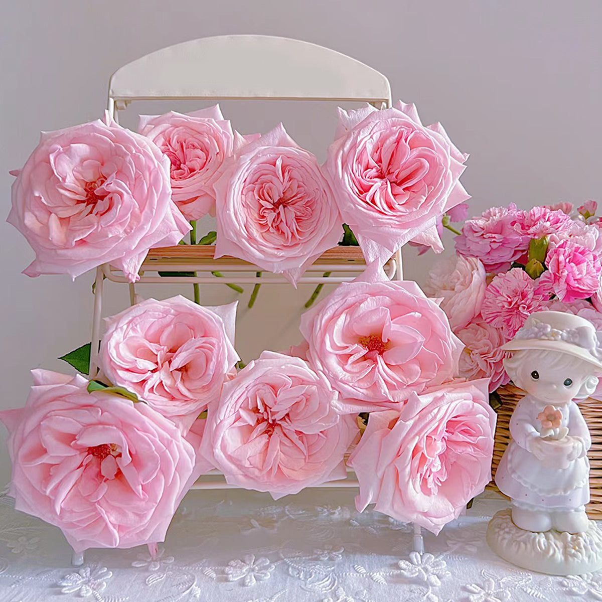French Florist Shrub Rose Inspired by Pink O&