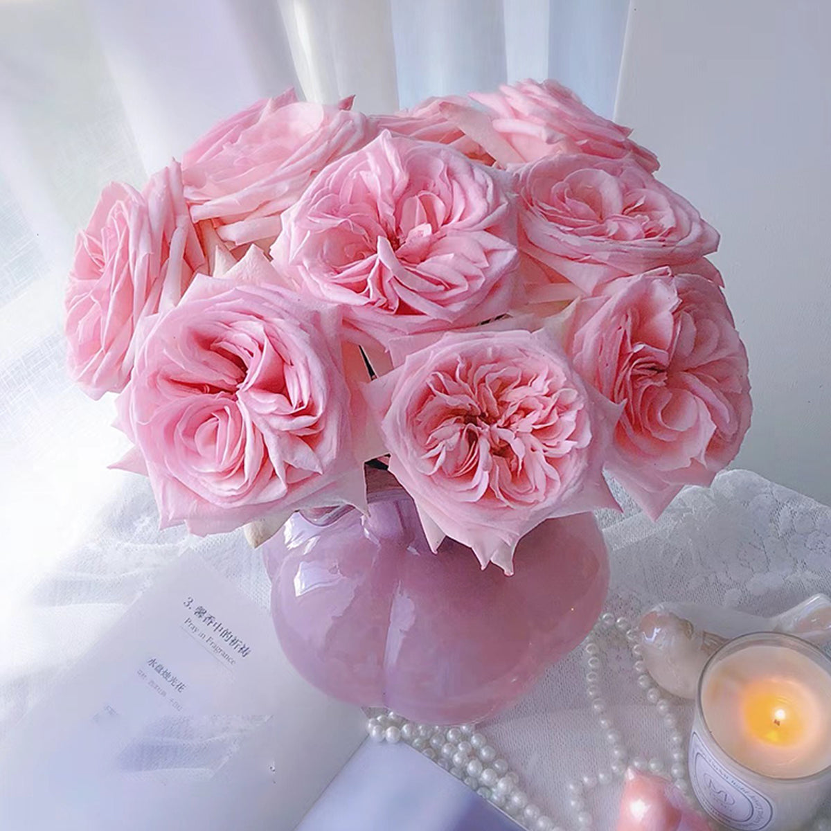French Florist Shrub Rose Inspired by Pink O&
