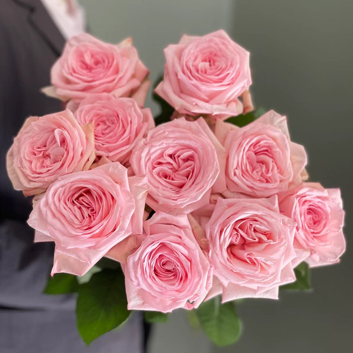 French Florist Shrub Rose Inspired by Pink O&