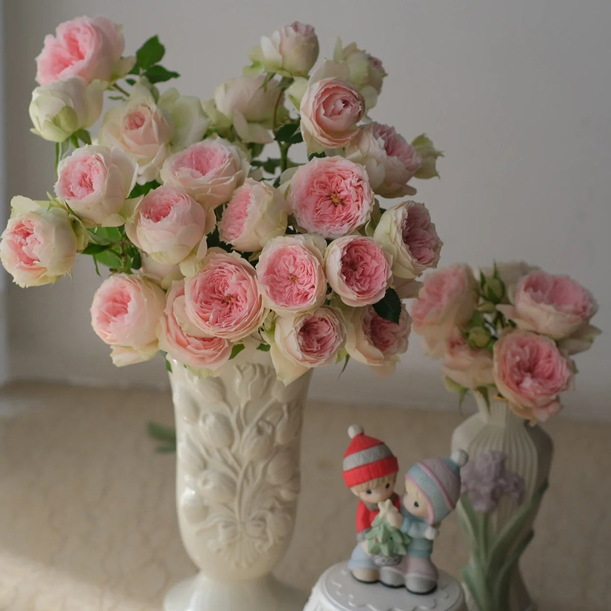 Pompon Veranda German Florist Shrub Rose