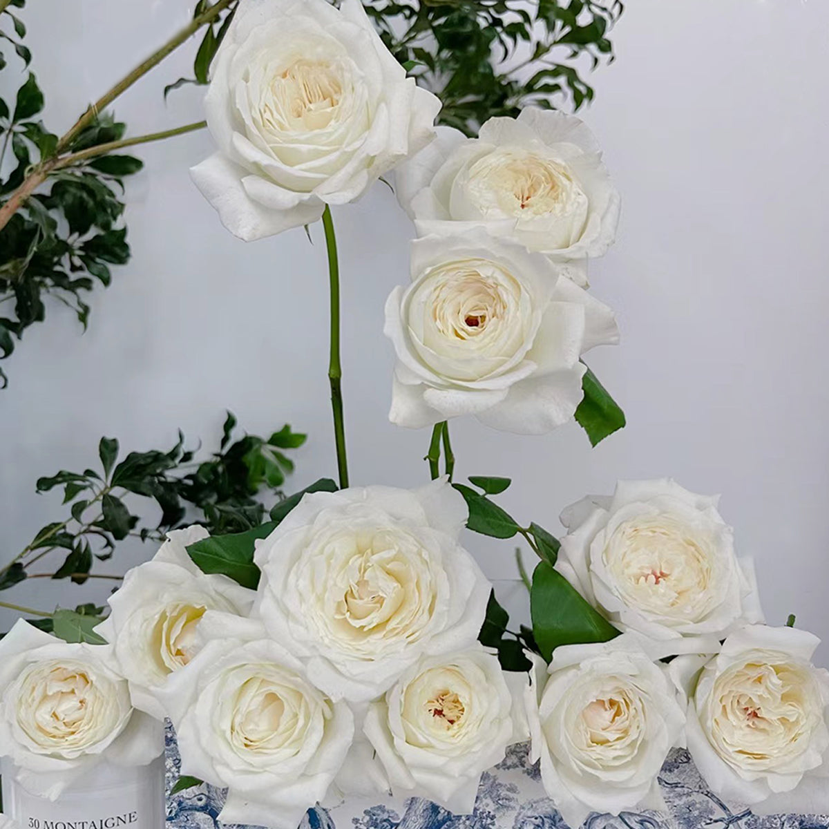 Japanese Garden Shrub Rose Inspired by Princess Miyuki