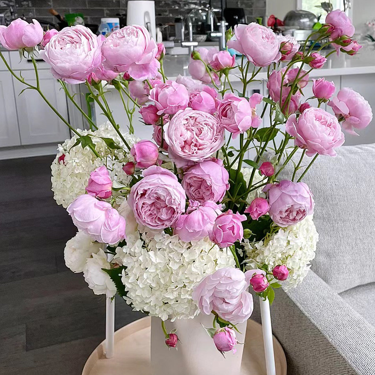 AUSbite English Garden Climbing Rose