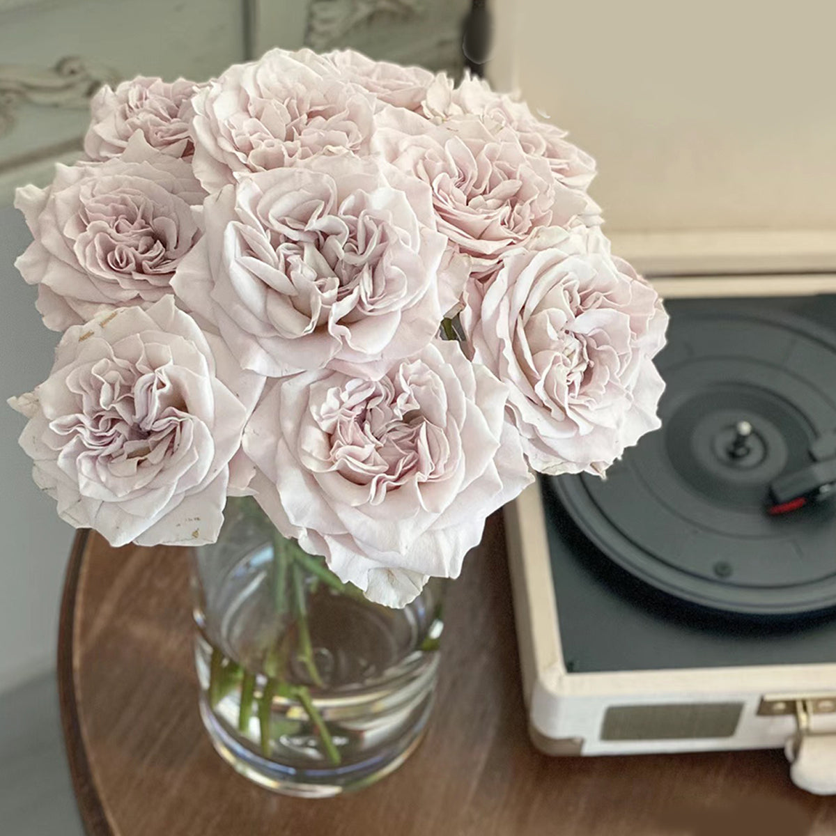 Dutch Florist Shrub Rose Inspired by Westminster Abbey
