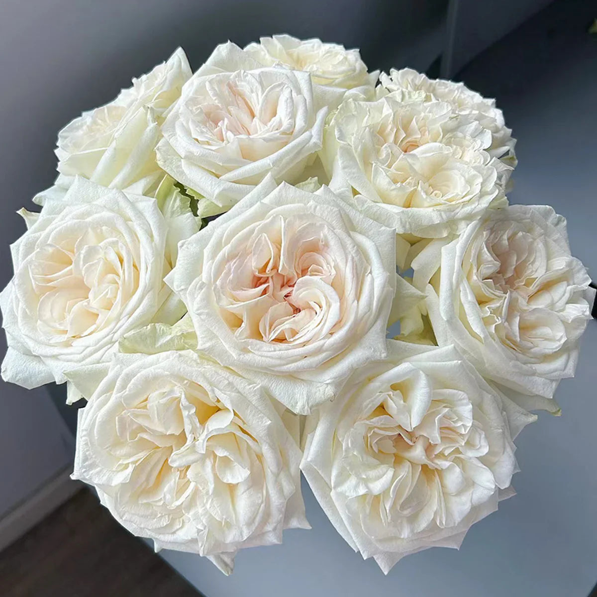 White and cream roses in a lush garden setting, showcasing elegant blooms and delicate colors.