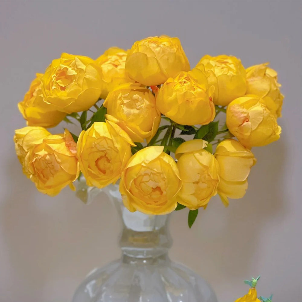 Admiration Chinese Florist Climbing Rose