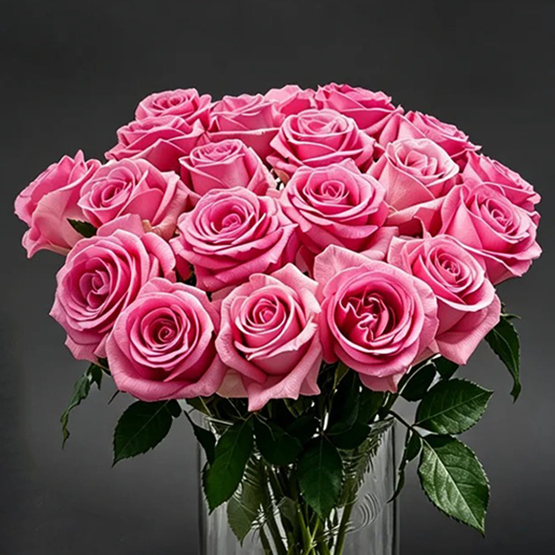 Awakening Dutch Florist Shrub Rose