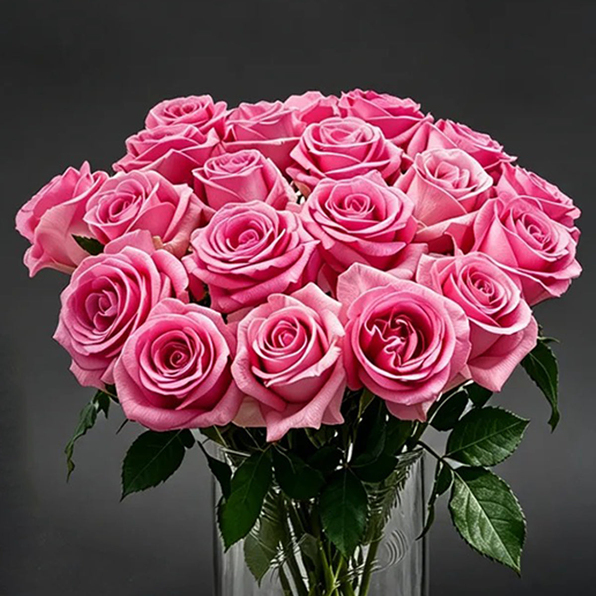 Awakening Dutch Florist Shrub Rose