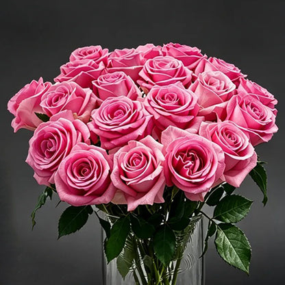 Awakening Dutch Florist Shrub Rose