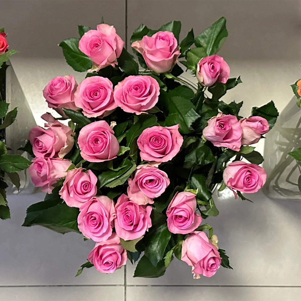 Awakening Dutch Florist Shrub Rose