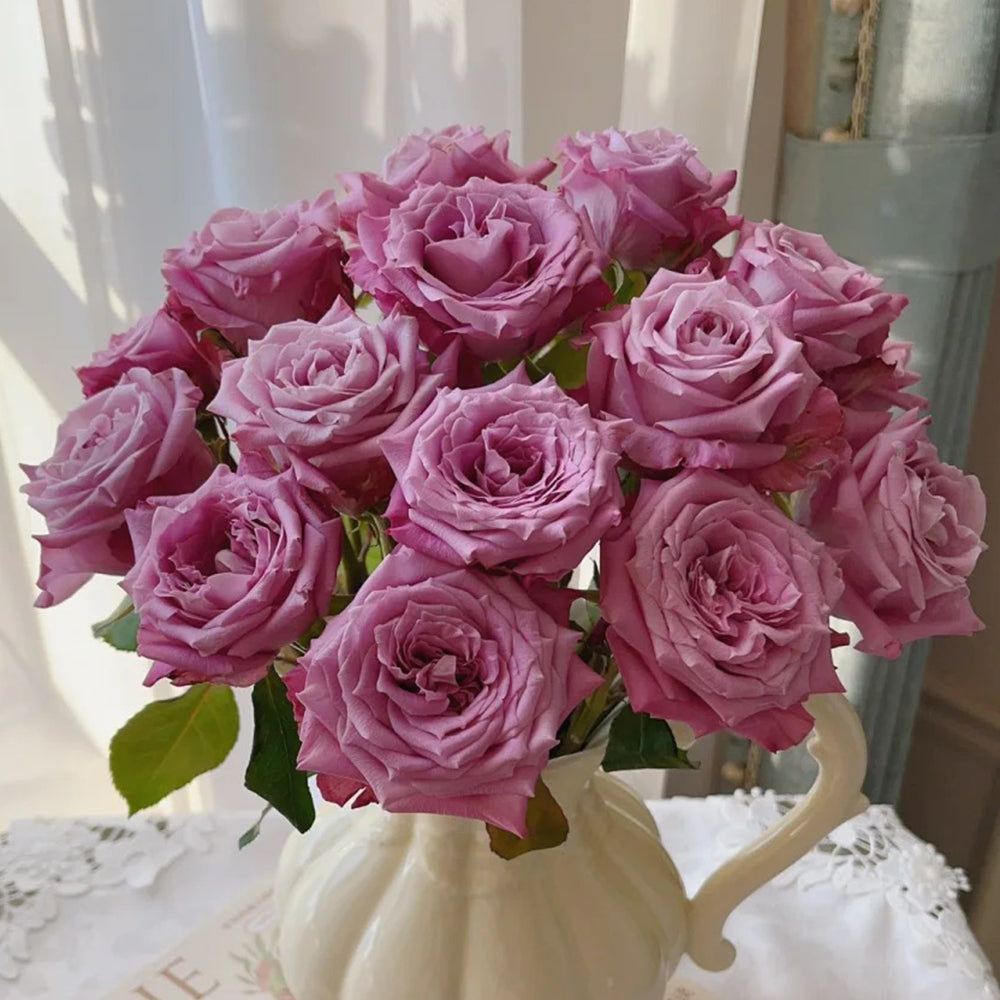☆Roses～　 Star-Crossed Lovers™ | Pink Hybrid Tea Rose Bush – Heirloom